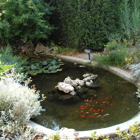 La Fenice 3* フォルミージネ